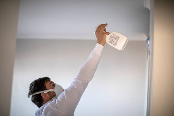 Best Mold Testing and Removal  in Peculiar, MO